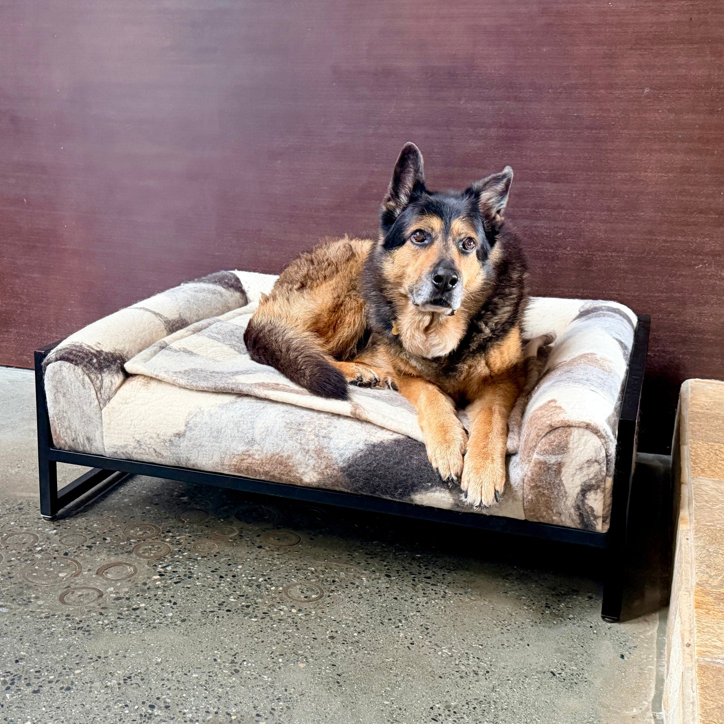 Metal elevated dog bed with custom wool fabric and custom mat for german shepherd or large dogs