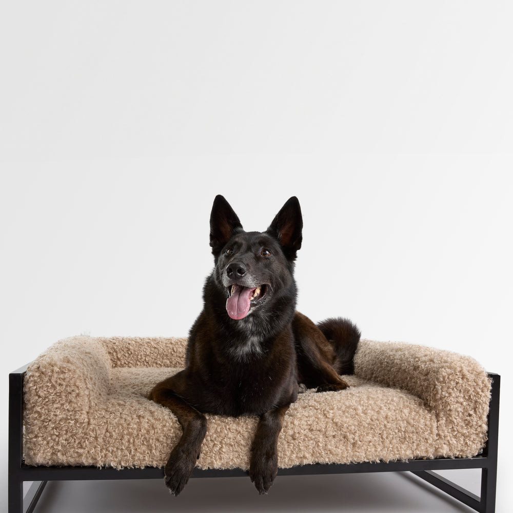 
                  
                    The Metal Bed
                  
                