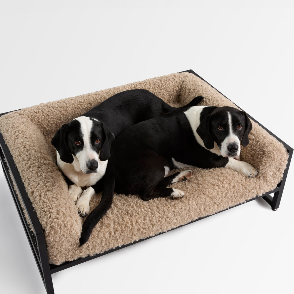 
                  
                    The Metal Bed
                  
                