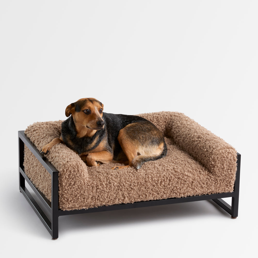 The Metal Bed