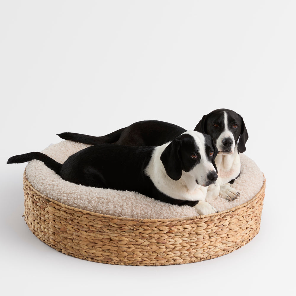 
                  
                    The Woven Bed
                  
                