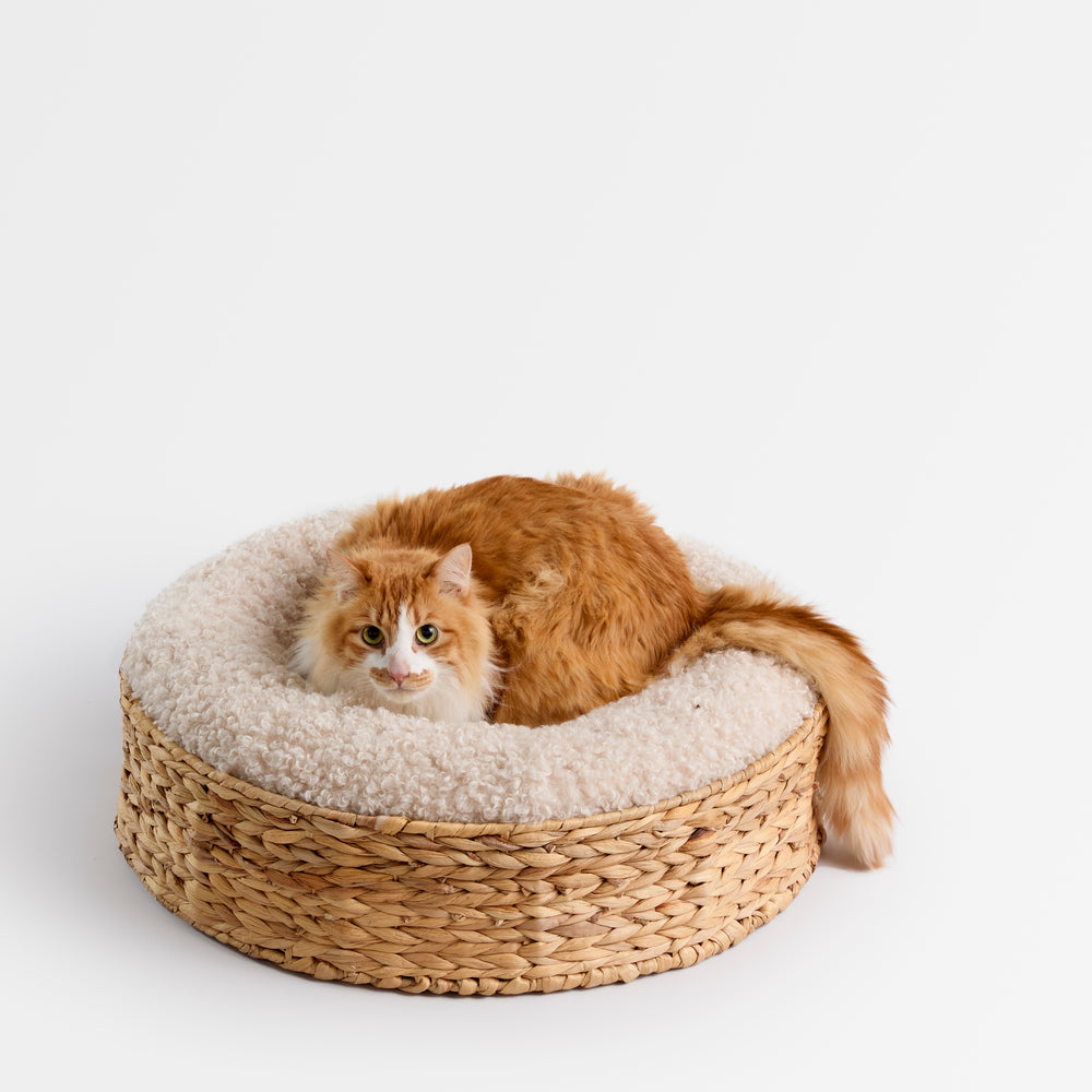 
                  
                    The Woven Bed
                  
                